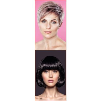 BANNER - BS 1229 40x130