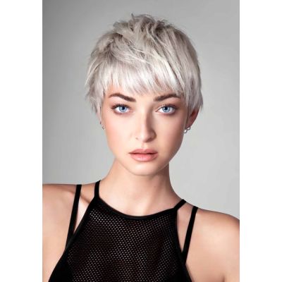 PFC-1051 Poster Privilege Paris