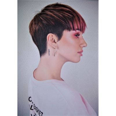 PFC-1018 Privilege France Poster 